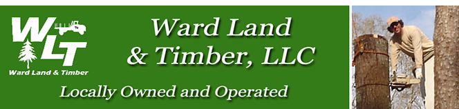 WLT General Contractors